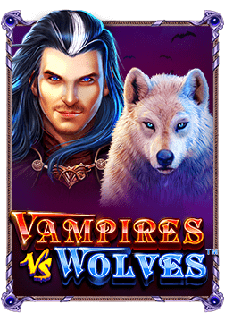 เดินเงินบาคาร่า 6 ไม้ เพื่อการชนะที่ยั่งยืน